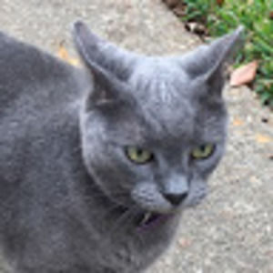 Meet your Posher, Ilyanna